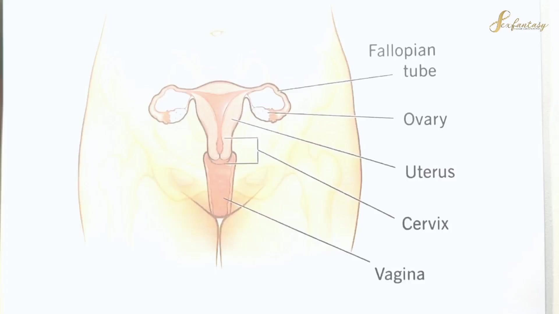 Sexy MILF Nurse Gets Fucked Hard by Her Horny Patient screenshot 10