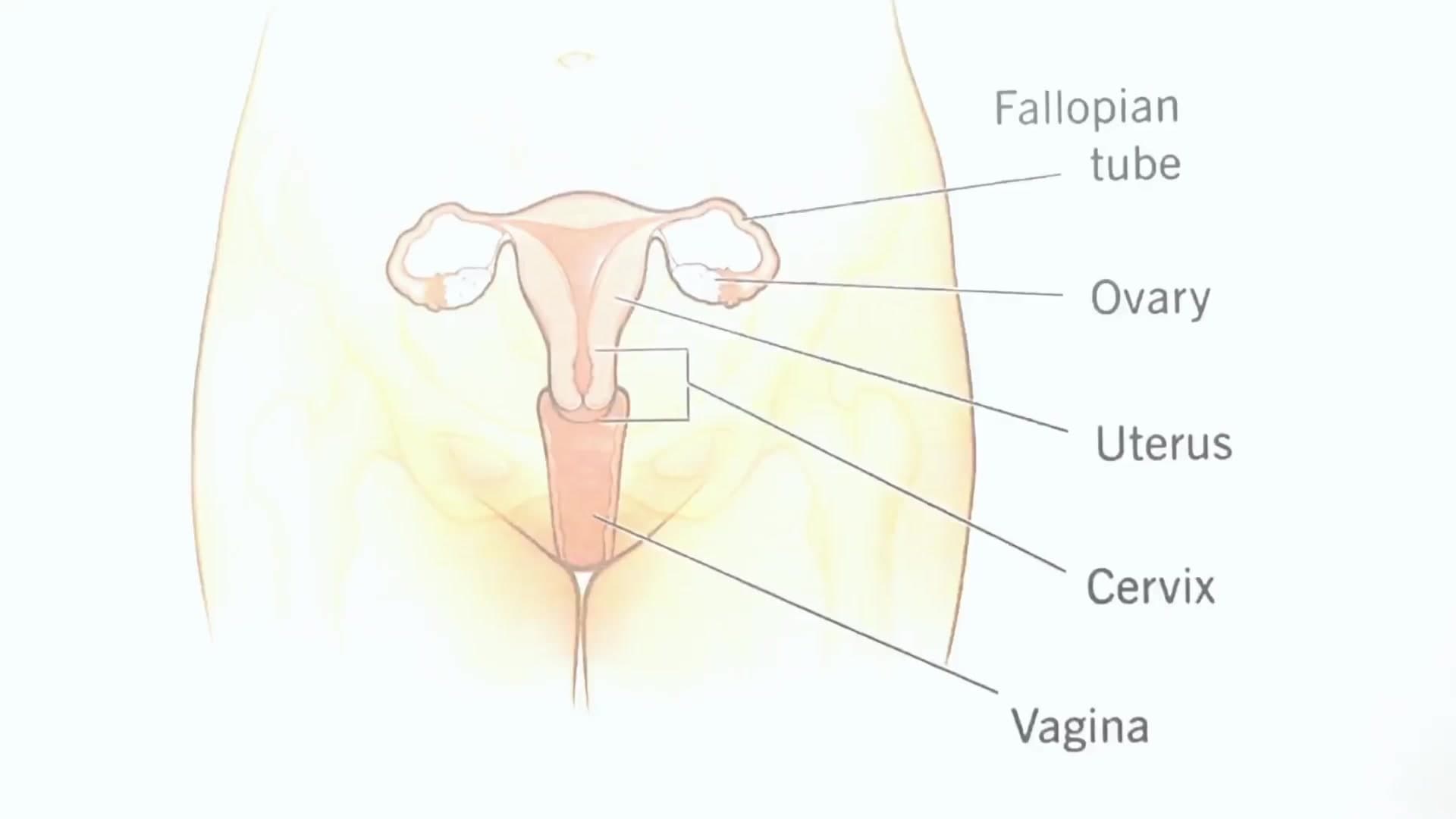 Sexy MILF Nurse Gets Fucked Hard by Her Horny Patient screenshot 9