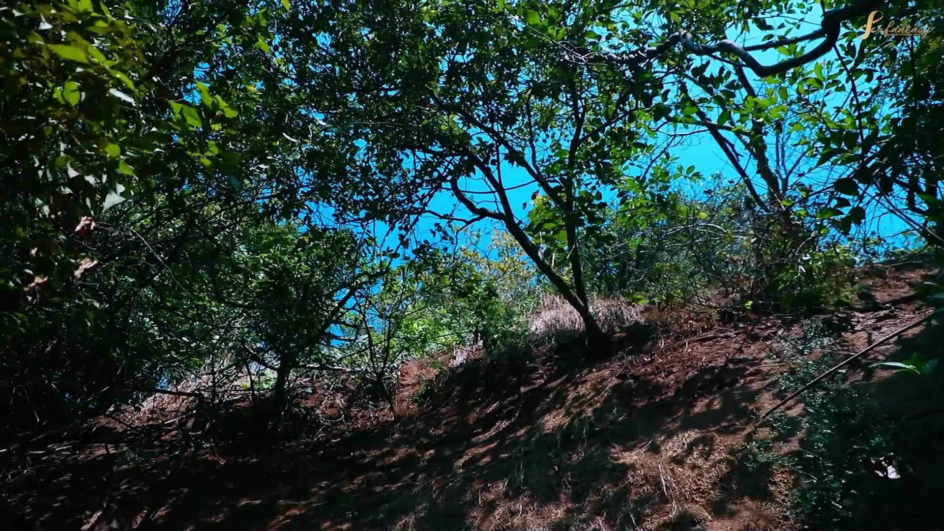 Horny Couple Fucking Outdoor in Indian Forest screenshot 6