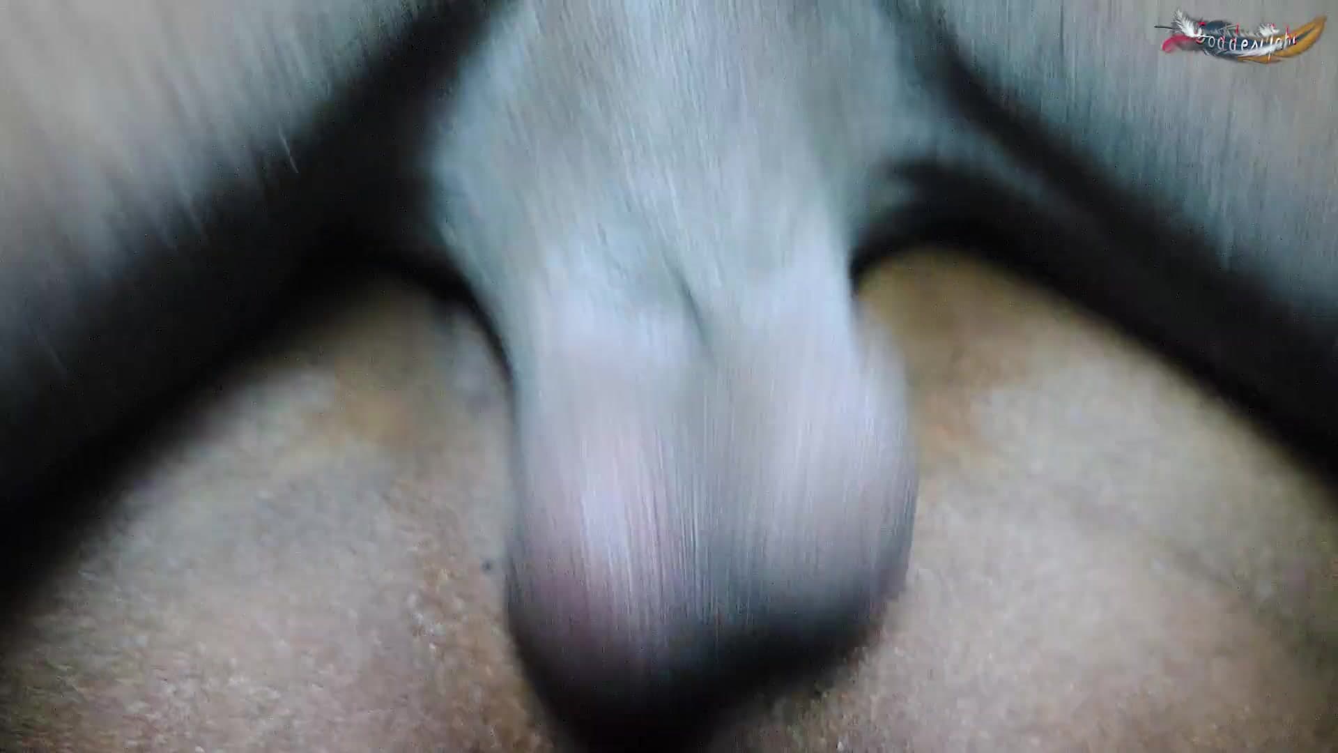 Desi Boyfriend Fucks His Girlfriend's Stepmom Hard All Night Full Hindi Audio Movie screenshot 10