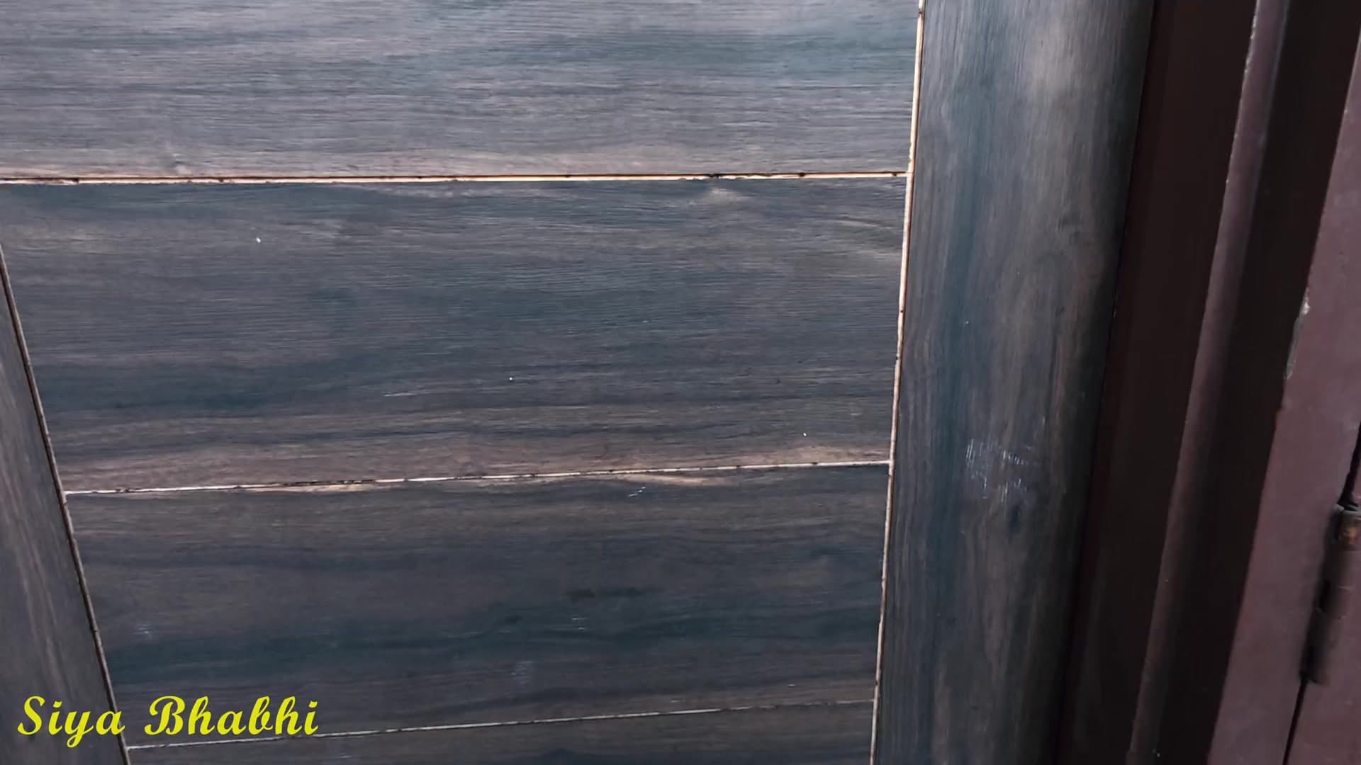 Siya Delivery Boy Fucking Hindi Audio screenshot 3