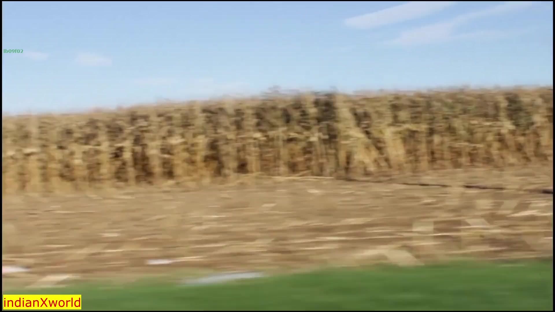 Banging My Indian Girlfriend in the Car! Spicy Desi Hookup screenshot 4